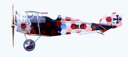 1/72　Aviatik-Berg D-I series 38