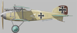 1/72　Albatros D-II late version