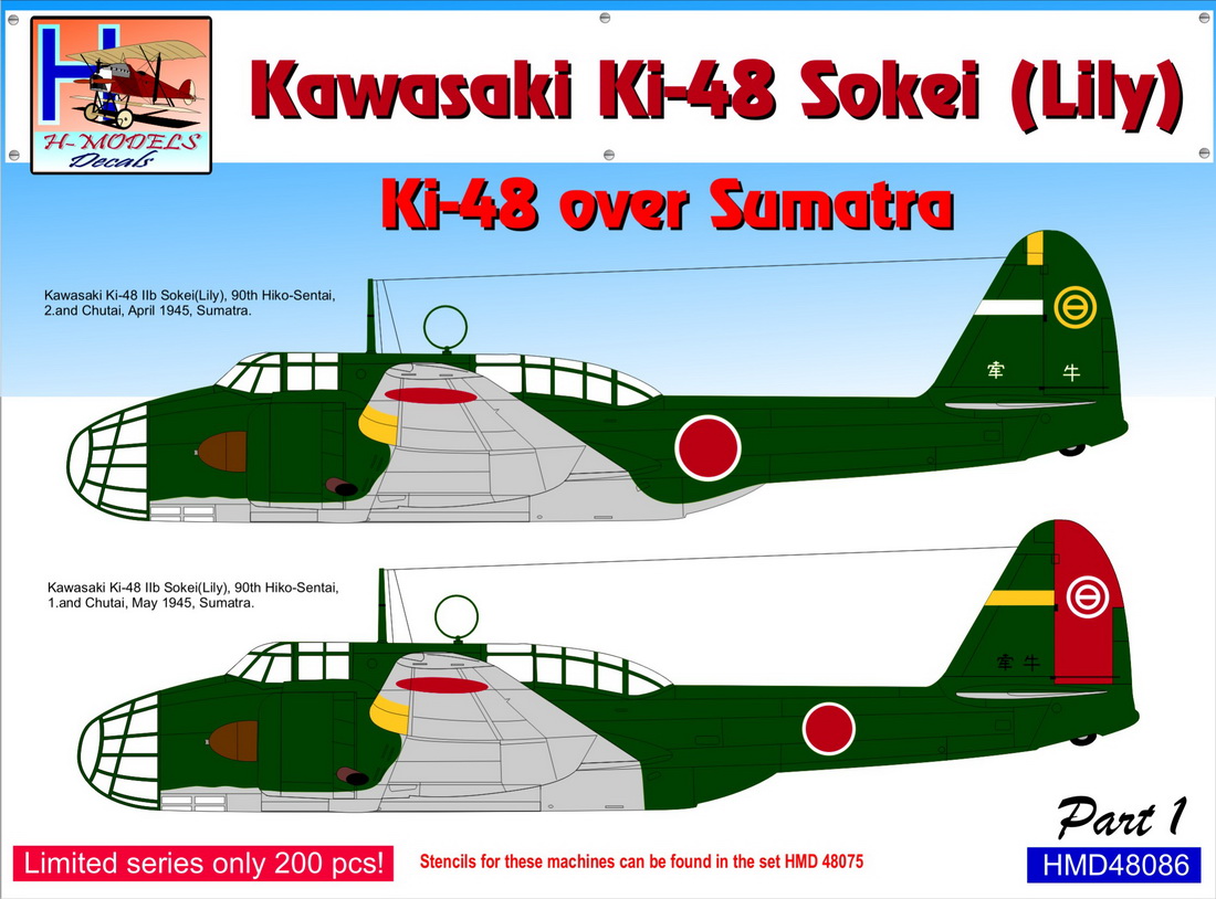 1/48　九九式双発軽爆撃機 ｢スマトラ島上空パート1｣ (2機分)
