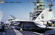1/48　F-14D スーパートムキャット ”CVW-14”
