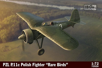 1/72　ポーランドPZL P.11c・ガル翼戦闘機・特殊迷彩