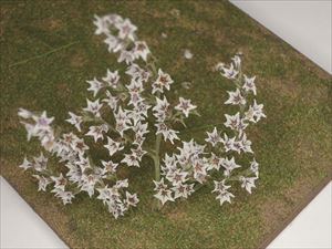 白い小さな花セット(天然素材)（2）