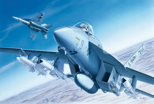 1/72 アメリカ海軍 F/A-18E スーパーホーネット 1/72 アメリカ海軍 F/A-18E スーパーホーネット