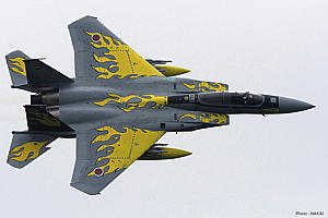 1/72 航空自衛隊 F-15J 第306飛行隊 創設40周年記念塗装機 940号機 ‘イエローフレイム’(仮称) - ウインドウを閉じる