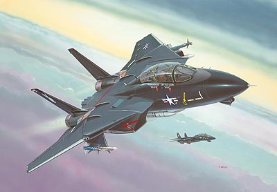 1/144　F-14A トムキャット (ブラックバニー)