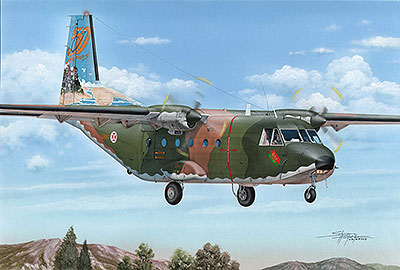 1/72　スペイン・CASA C-212-100中型輸送機・テールアート