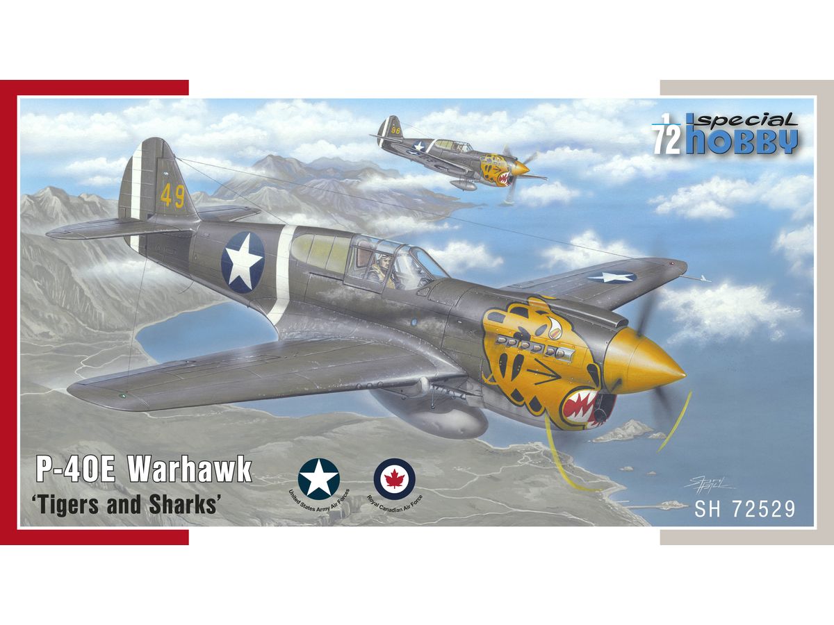 1/72 米・P-40Eウォーホーク戦闘機・ノーズアート(タイガー&シャーク) 1/72 米・P-40Eウォーホーク戦闘機・ノーズアート(タイガー&シャーク)