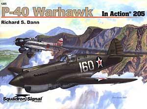 P-40 ウォホーク