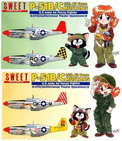 1/144　P-51B/C 第15航空軍 マスタング